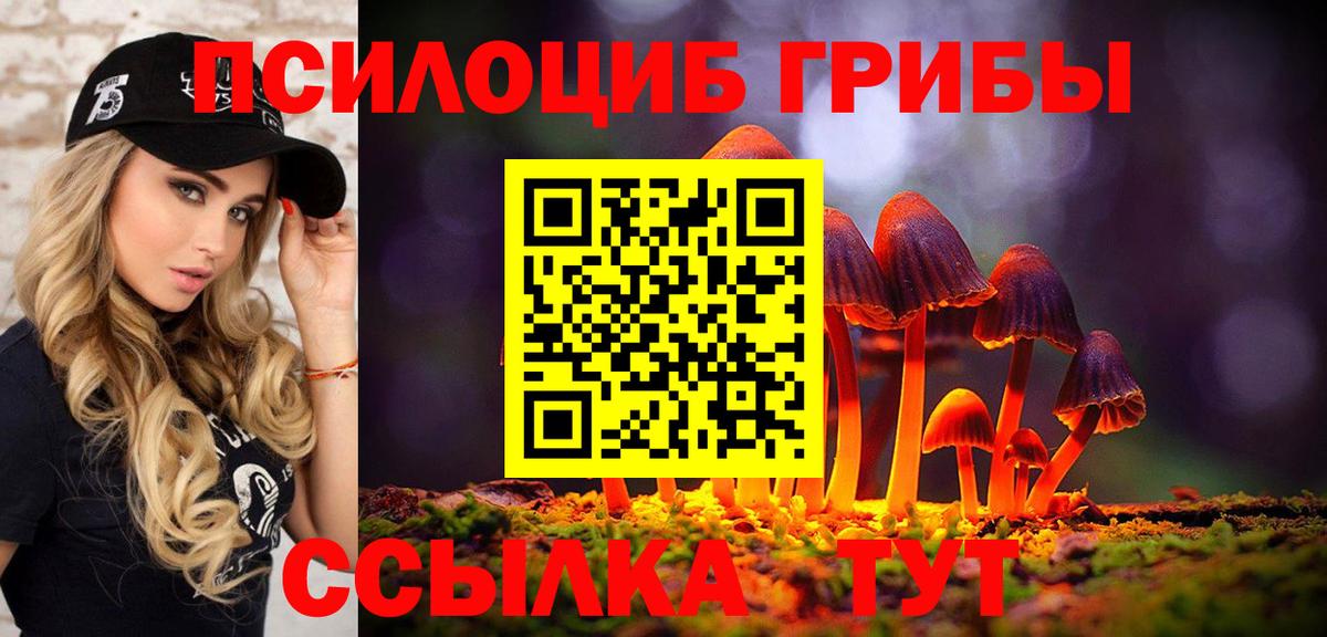 Галлюциногенные грибы MAGIC MUSHROOMS Нерюнгри